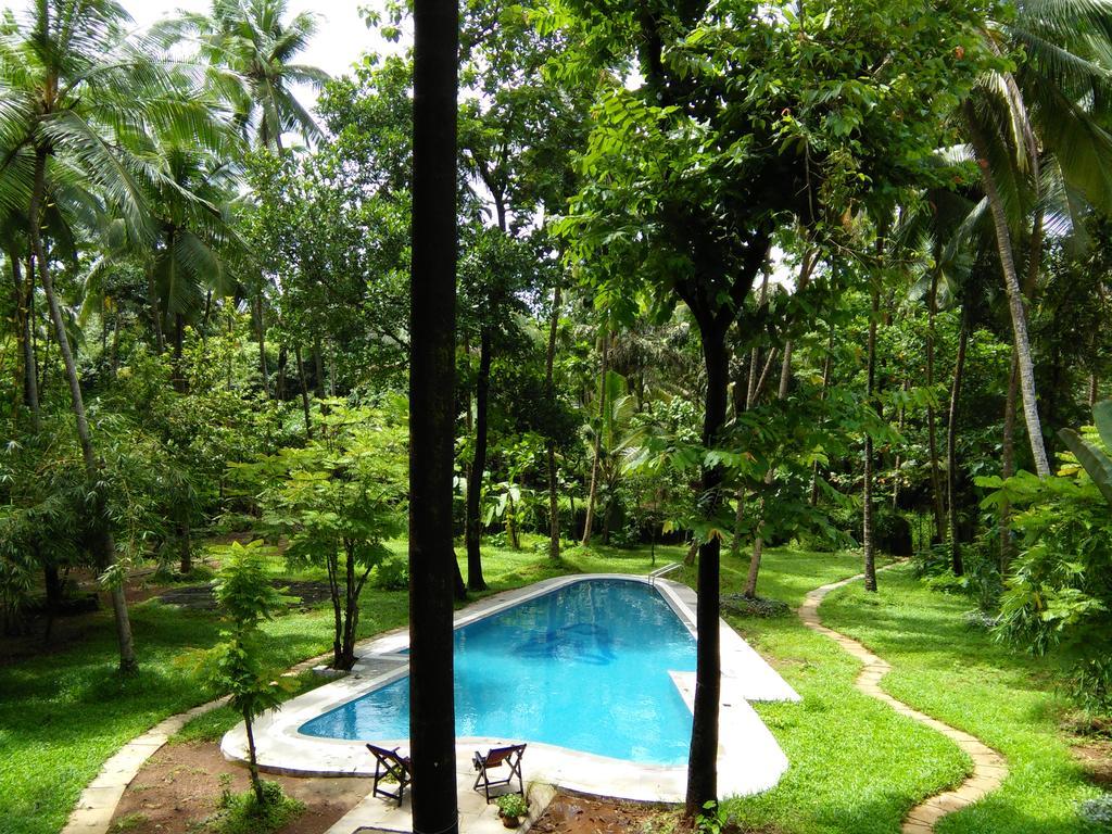 Botanique Goa Hotel Assagao Exterior photo